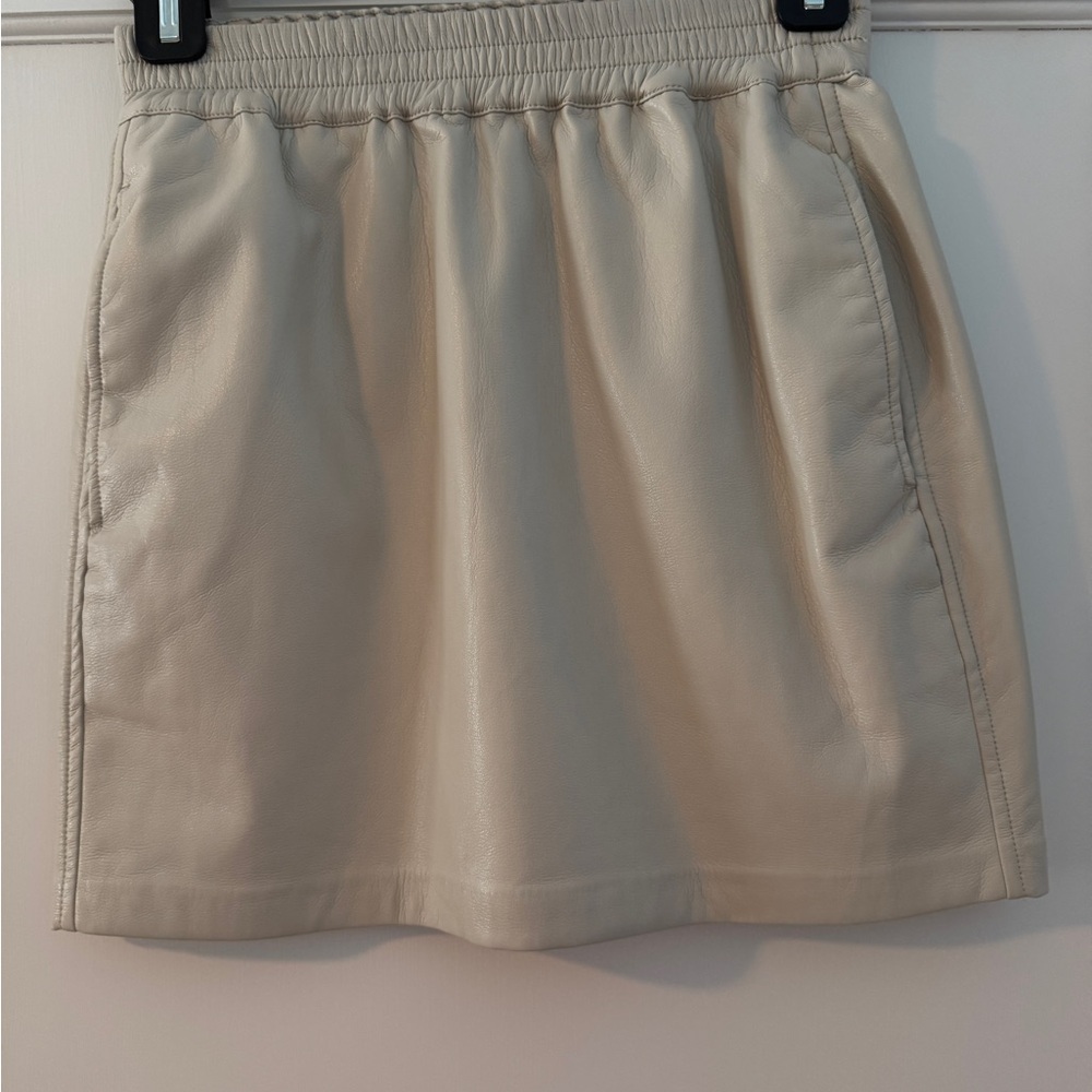 Leather Mini Aritzia Skirt
